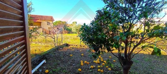 5 bedrooms Villa in Praia a Mare, Italy No. 119996 20