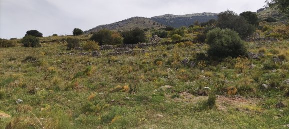  قطعة أرض في Capaci, Italy 1300متر مربع رقم 81112 4