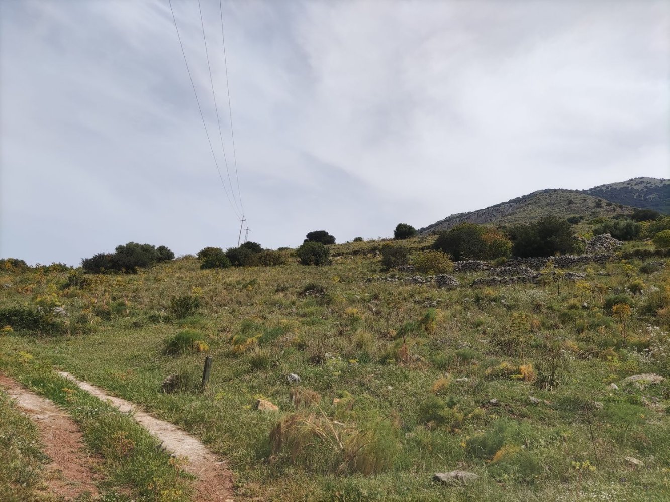  قطعة أرض في Capaci, Italy 1300متر مربع رقم 81112