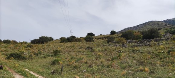  قطعة أرض في Capaci, Italy 1300متر مربع رقم 81112 2