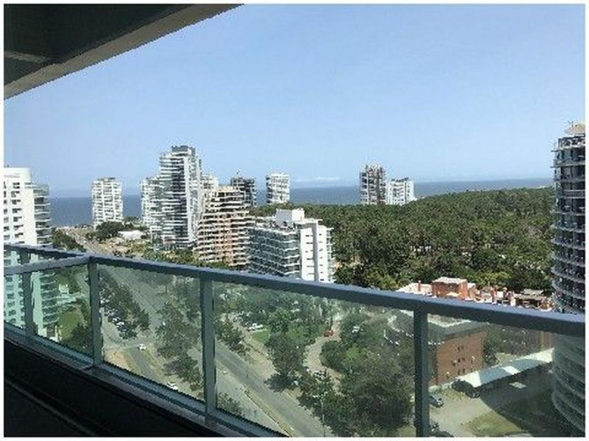 Studio à Maldonado, Uruguay No. 10939