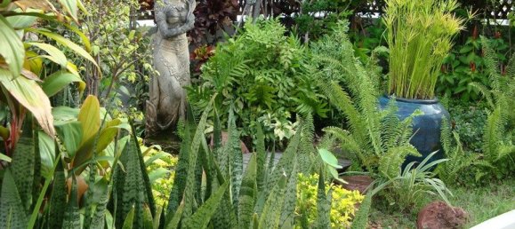 2 bedrooms Condo in Bangkok, Thailand No. 6489 10