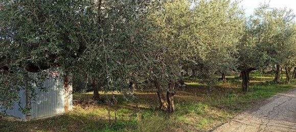 Terreno en Loreto Aprutino, Italy 3360 m² No. 300964 5