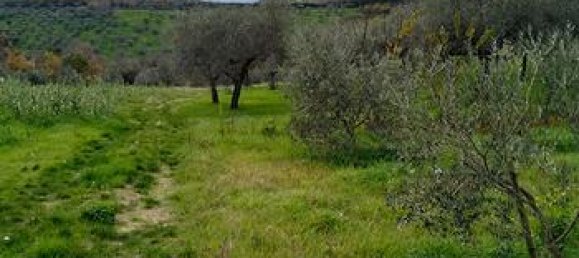 Terreno en Loreto Aprutino, Italy 3360 m² No. 300964 6