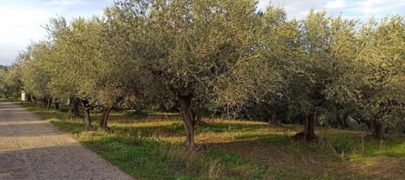 Terreno en Loreto Aprutino, Italy 3360 m² No. 300964 4