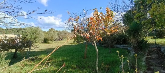5-salle Maison à Fasano, Italy No. 140731 17