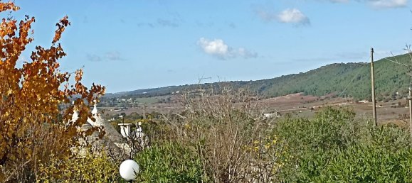 5-salle Maison à Fasano, Italy No. 140731 16