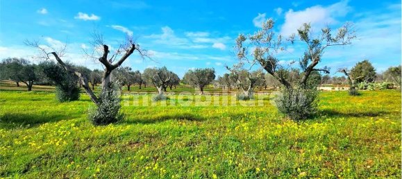 Grundstück in San Vito dei Normanni, Italy 9320m², Nr. 117351 5