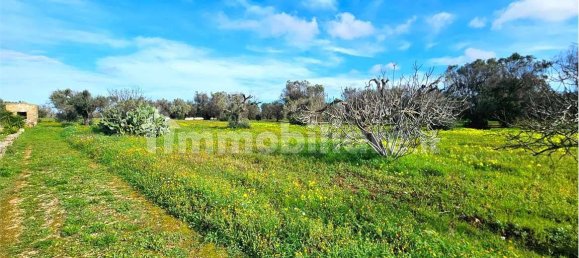 Grundstück in San Vito dei Normanni, Italy 9320m², Nr. 117351 3