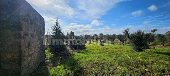 Grundstück in San Vito dei Normanni, Italy 9320m², Nr. 117351 11