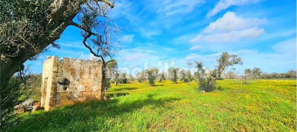 Grundstück in San Vito dei Normanni, Italy 9320m², Nr. 117351 9