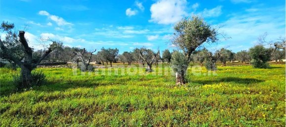 Grundstück in San Vito dei Normanni, Italy 9320m², Nr. 117351 2