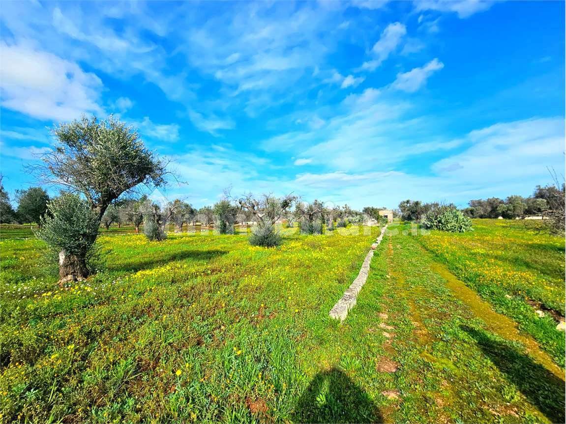 Grundstück in San Vito dei Normanni, Italy 9320m², Nr. 117351