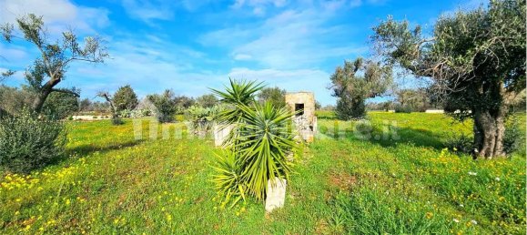 Grundstück in San Vito dei Normanni, Italy 9320m², Nr. 117351 4