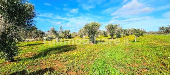 Grundstück in San Vito dei Normanni, Italy 9320m², Nr. 117351 10