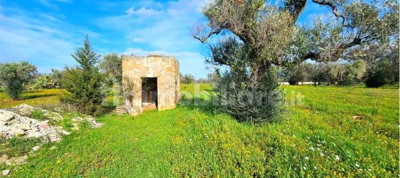 Grundstück in San Vito dei Normanni, Italy 9320m², Nr. 117351 7