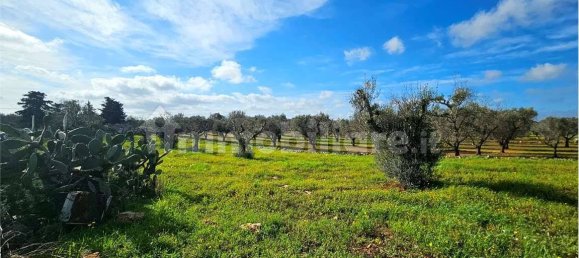 Grundstück in San Vito dei Normanni, Italy 9320m², Nr. 117351 12