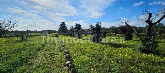 Grundstück in San Vito dei Normanni, Italy 9320m², Nr. 117351 6