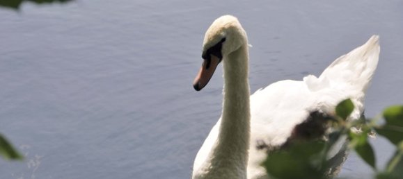 2 Schlafzimmer Wohnung in Finsbury Park, United Kingdom, Nr. 3238 3