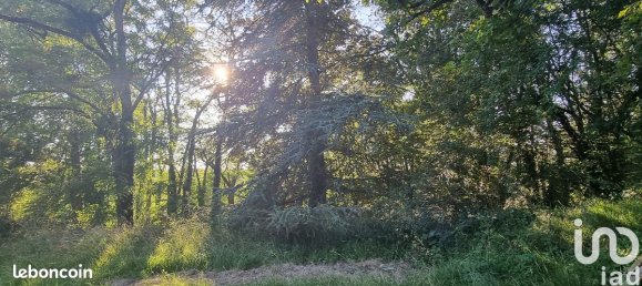 8-Zimmer Haus in Fontenay-sur-Loing, France, Nr. 327647 6