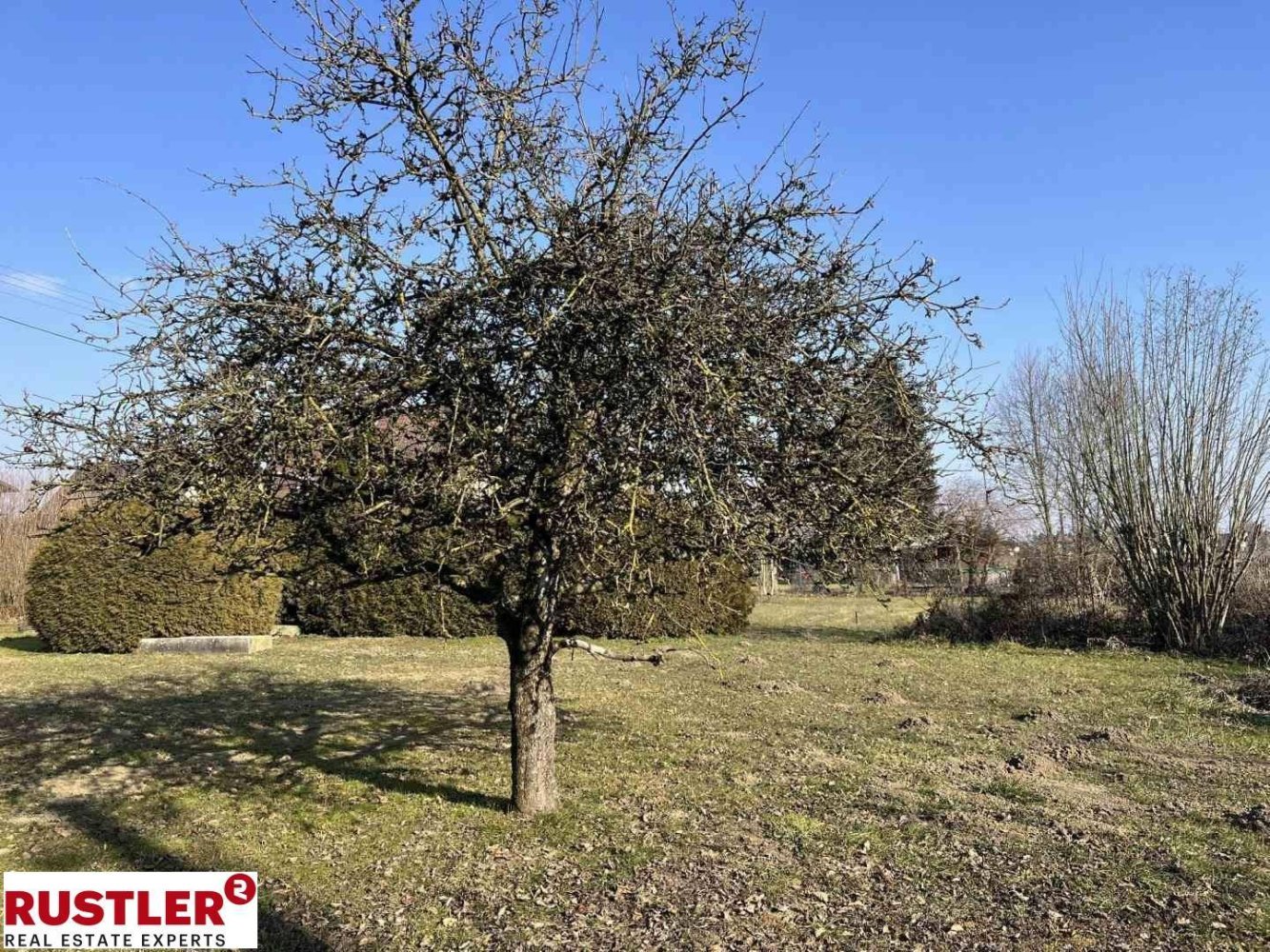  قطعة أرض في Kirchberg-Thening, Austria 2000متر مربع رقم 133261