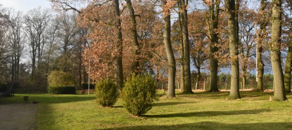 Quinta T15 em Diepholz, Germany N.º 171821 19