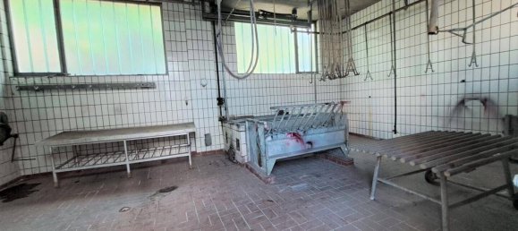 14-salle Maison à Haugsdorf, Austria No. 238409 28