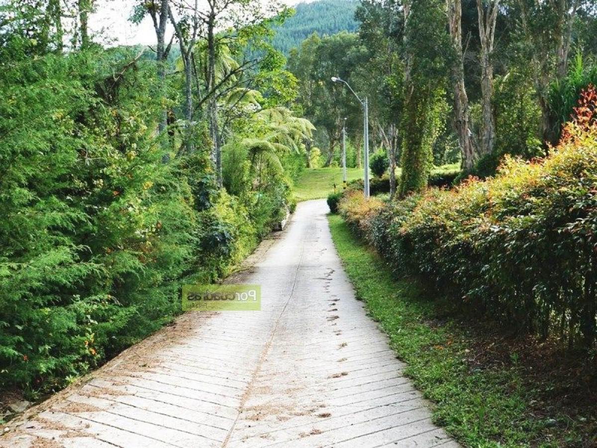  Land in Antioquia, Colombia No. 98