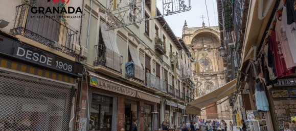 4 غرف نوم شقة في Granada, Spain رقم 19157 41