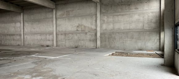 600m² Warehouse in Mantua, Italy No. 362175 6