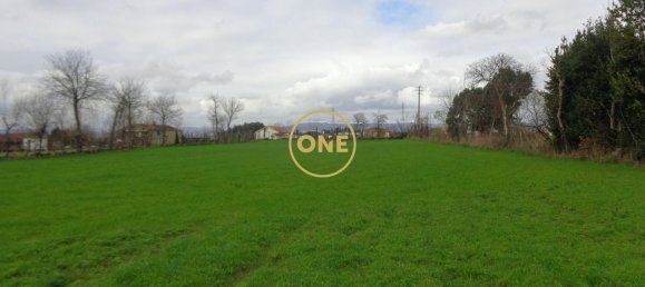 8000m² Land in Adaufe, Portugal No. 52770 6