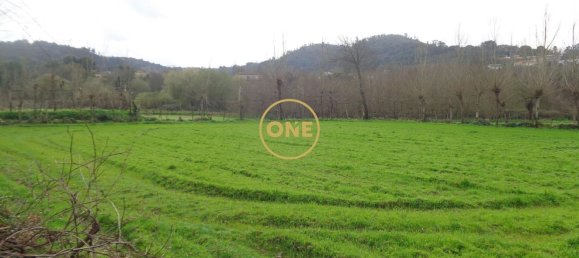 8000m² Land in Adaufe, Portugal No. 52770 4