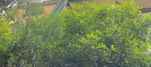 Apartamento T3 em Solferino, Italy N.º 350448 8