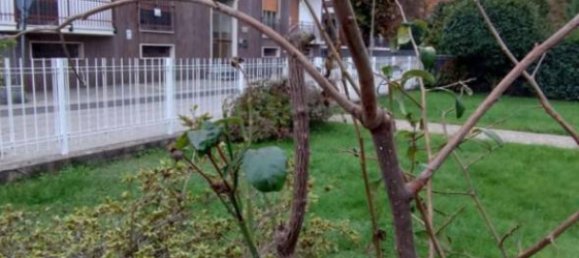 3 chambres Appartement à San Pietro Mosezzo, Italy No. 84811 31