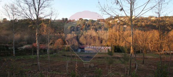 3 bedrooms House in Cabeceiras de Basto, Portugal No. 37374 5