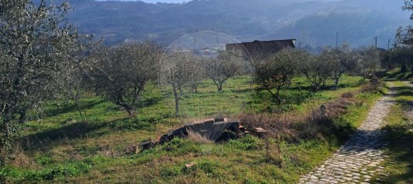 5 bedrooms House in Pombal, Portugal No. 42355 9