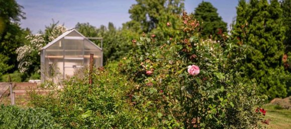 Таунхаус с 3 спальнями в Цвиккау, Германия № 221737 6