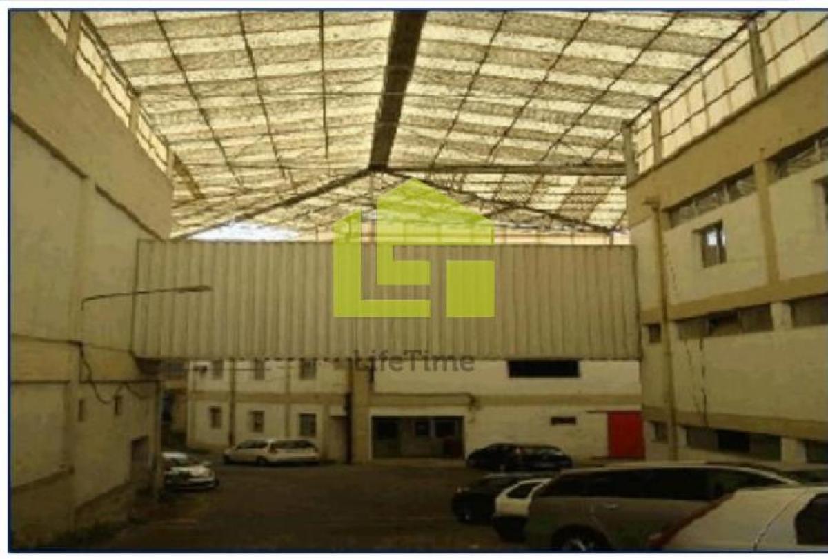 3164m² Factory in Portalegre, Portugal No. 1808