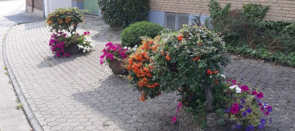 1 غرف نوم شقة في Rhein-Erft, Germany رقم 130637 4