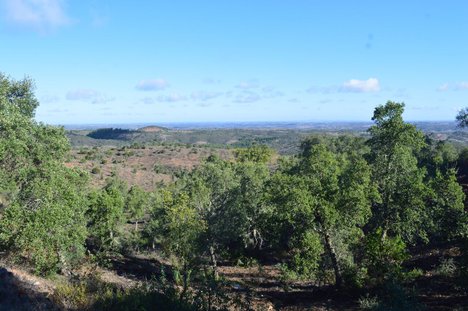 120m² Land in Almodovar, Portugal No. 50187
