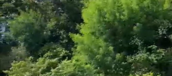 15000m² Land in Asahan, Indonesia No. 4364 8