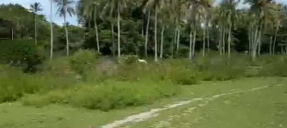 15000m² Land in Asahan, Indonesia No. 4364 6