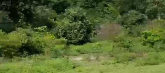 15000m² Land in Asahan, Indonesia No. 4364 4