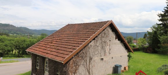 3 Schlafzimmer Haus in Brouvelieures, France, Nr. 53696 18