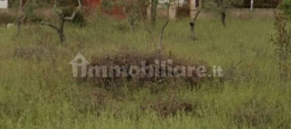 Villa T9 em Statte, Italy N.º 130311 2