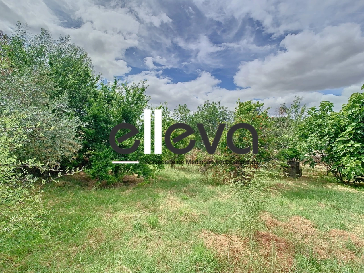  Land in Alcains, Portugal No. 341719