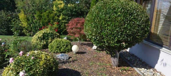 6-Zimmer Haus in Engelhartstetten, Austria, Nr. 233841 22