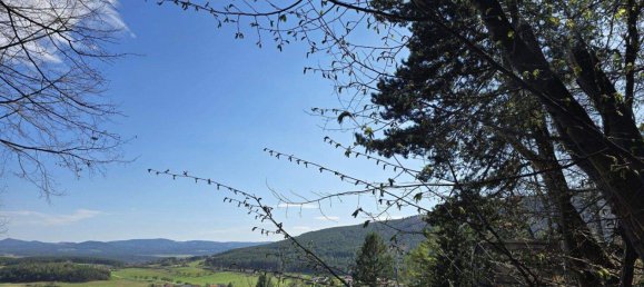  Land in Ternitz, Austria No. 165678 7