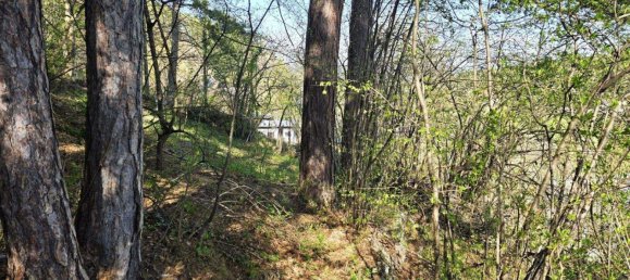  Land in Ternitz, Austria No. 165678 4