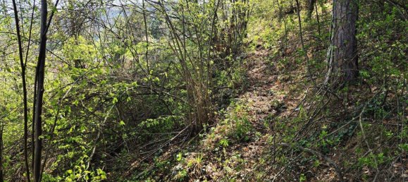  Land in Ternitz, Austria No. 165678 5